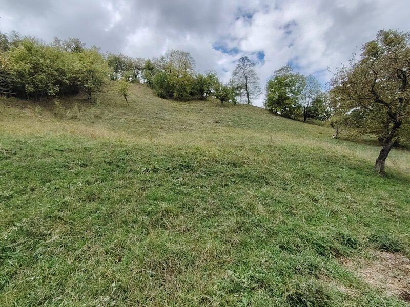 Valea Rumanestilor, str. Rujoi, Campulung, judetul Arges.