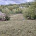 Valea Rumanestilor, str. Rujoi, Campulung, judetul Arges.